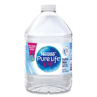 Nestle Waters Pure Life Purified Water, 101.4 oz Bottle, 6/Pack (12386172)