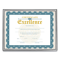 Victory Light U-Channel Document Frame, 8.5 x 11, Silver (VS4503B811S)