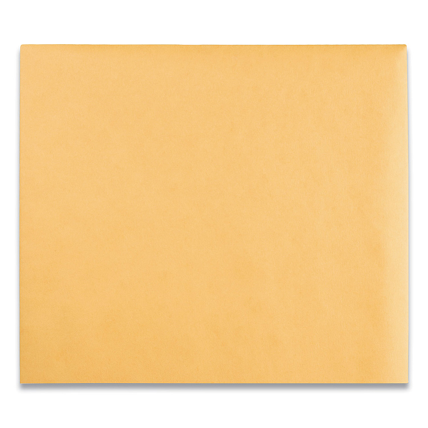 Quality Park Clasp Envelope, 28 lb Bond Weight Kraft, #95, Square Flap, Clasp/Gummed Closure, 10 x 12, Brown Kraft, 100/Box (37895)