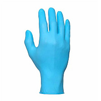 Safety Zone Nitrile Powder Free 3 Mil Exam Gloves Blue Lrg, Case Of 1000 (GNPR-LG-1A)