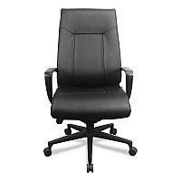 Tempur-Pedic by Raynor Executive Chair, Supports up to 250 lbs, 20.5