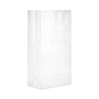 AJM Grocery Bag, 19.5