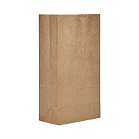 Grocery Bag, 16.25