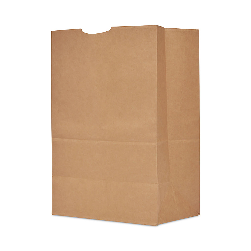 AJM Grocery Bag, 19.5" x 12" x 17", Brown, 400/Bundle (SK1680)