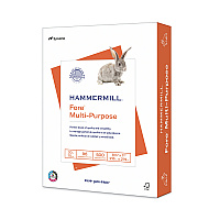 Hammermill Fore Multipurpose Print Paper, 96 Bright, 20 lb Bond Weight, 8.5 x 11, White, 500 Sheets/Ream (103267RM)