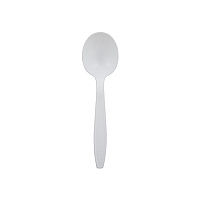 Soupspoon Heavyweight Polysty, Case Of 1000 (CPSHWSSBKW1)
