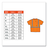 ergodyne GloWear 8289 Class 2 Hi-Vis T-Shirt, Polyester, Orange, 5X-Large (21519)