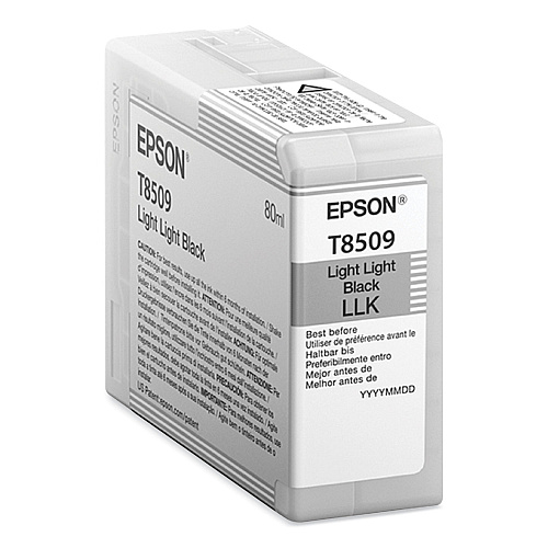 Epson T850900 Ink, Light Light Black