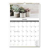 Blueline 12-Month Wall Calendar, Minimalistic Artwork, 12 x 17, White/Multicolor Sheets, 12-Month (Jan to Dec): 2026 (C173121)