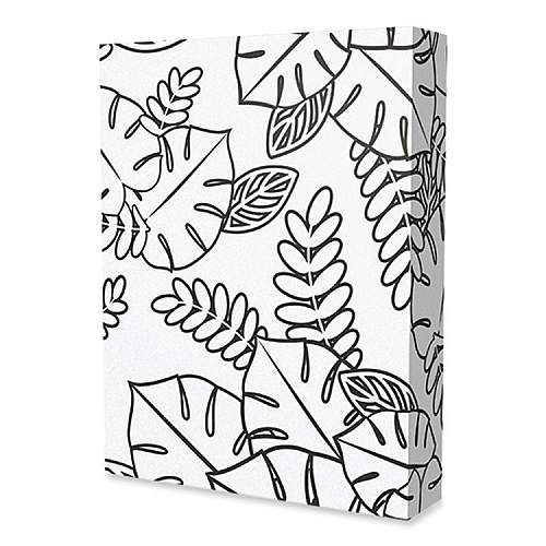 Lettermark 30% Recycled Colored Paper, 20 lb Bond Weight, 8.5 x 11, Salmon, 500/Ream (94318)