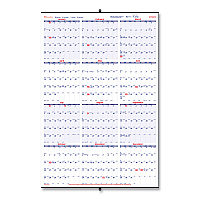 Brownline Yearly Wall Calendar, 24 x 36, White/Blue Sheets, 12-Month (Jan to Dec): 2026 (C172212)