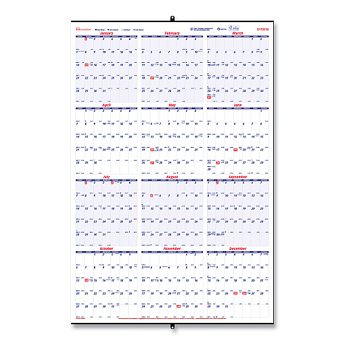 Brownline Yearly Wall Calendar, 24 x 36, White/Blue Sheets, 12-Month (Jan to Dec): 2026 (C172212)