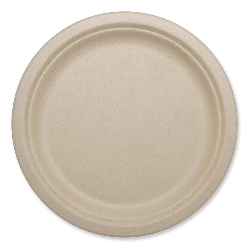 World Centric Fiber Plates, 10.1" dia, Natural, 800/Carton (PLSCU10LFP)