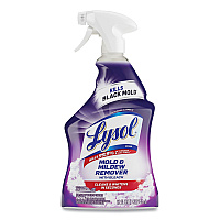 Lysol&reg; Mold & Mildew Remover Spray, 32 oz. Spray Bottle (78915EA)
