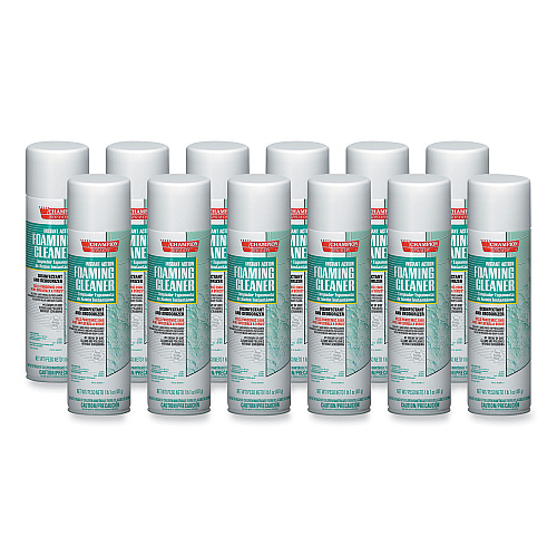 Chase Products Instant Action Foaming Cleaner/Disinfectant, 17 oz, Aerosol Spray, 12/Carton (5196)