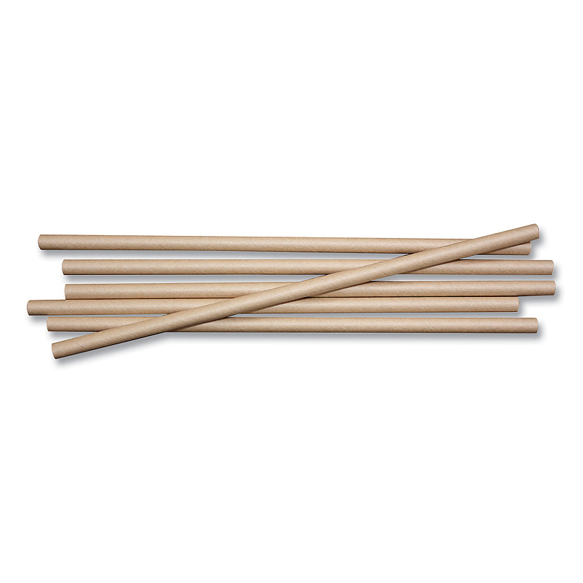 World Centric Sustainable Kraft Paper Straws, 8", 6,000/Carton (STPA8K)