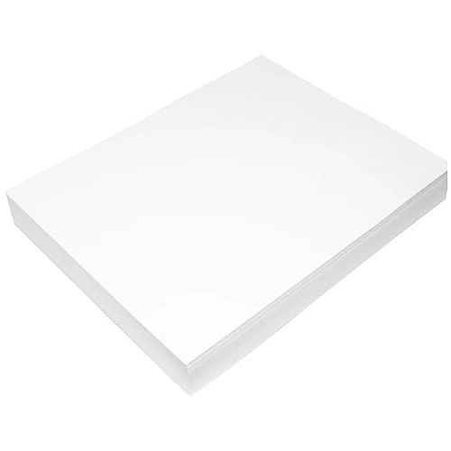 Epson DS Transfer Photo Paper Roll, 4.6 mil, 17" x 300 ft, Matte White (S450259)