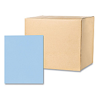Roaring Spring Pocket Folder, 0.5" Capacity, 11 x 8.5, Light Blue, 25/Box, 10 Boxes/Carton (50124CS)