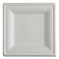 Vanguard Renewable And Compostable Sugarcane Plates, 10 X 10, White, 250/carton