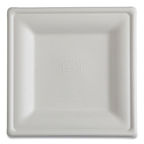 Vanguard Renewable And Compostable Sugarcane Plates, 10 X 10, White, 250/carton