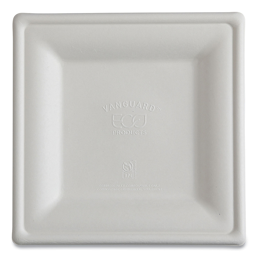 Vanguard Renewable And Compostable Sugarcane Plates, 10 X 10, White, 250/carton