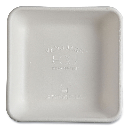 Vanguard Worldview Renewable And Compostable Sugarcane Take-out Containers, 36 Oz, 8 X 8 X 2, White, Sugarcane, 200/carton