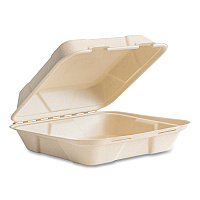 Vegware Nourish Molded Fiber Takeout Container, Compostable, 9 x 10 x 2, Natural, Sugarcane, 200/Carton (B027N)