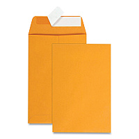 Quality Park Redi-Strip Catalog Envelope, #1, Cheese Blade Flap, Redi-Strip Adhesive Closure, 6 x 9, Brown Kraft, 100/Box (44162)