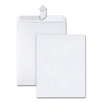 Quality Park Redi-Strip Catalog Envelope, #13 1/2, Cheese Blade Flap, Redi-Strip Adhesive Closure, 10 x 13, White, 100/Box (44782)