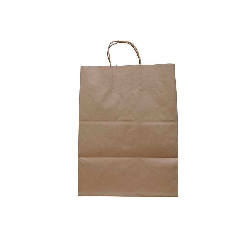 Solupac Take Out Twist Handle Bag, Natural Twisted-Paper Handles, 12" x 9" x 15.75", Natural, 200/Carton (TKNTAOUDE)