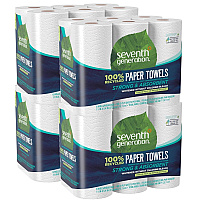 Seventh Generation 100% Recycled Paper Kitchen Towel Rolls, 2-Ply, 11 x 5.4, 140 Sheets/Roll, 24 Rolls/Carton (13731CT)