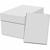 Special Buy Copy Paper - White 92 Brightness - 8 1/2" x 11" - 20 lb Basis Weight - Acid-free - White - 500 Sheets per Ream - 10 / Carton (EC851192A)