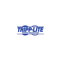 Tripp Lite 1000ft Cat5e Bulk Pvc Patch Cable Gray (N02001KGY)