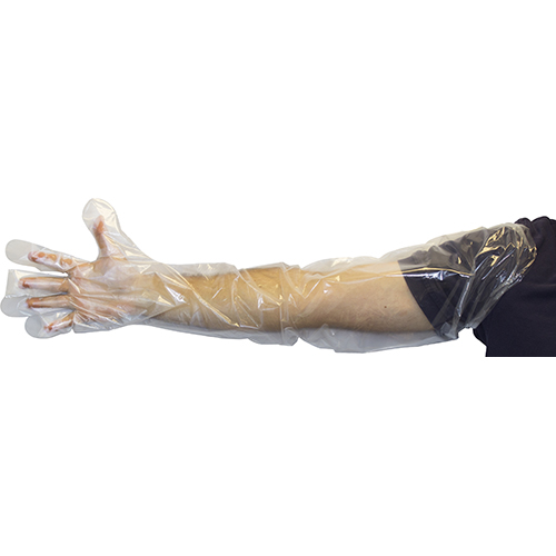 Safety Zone Polyethylene 35" Low Density Gloves Clear Lrg, Case Of 1000 (GDPE-LG-35)