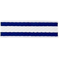 Microworks Disposable Cleaning Pad, White/blue, 17" - Pack Of 12 (2504-DPFP-17W)