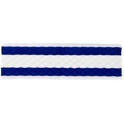 Microworks Disposable Cleaning Pad, White/blue, 17" - Pack Of 12 (2504-DPFP-17W)