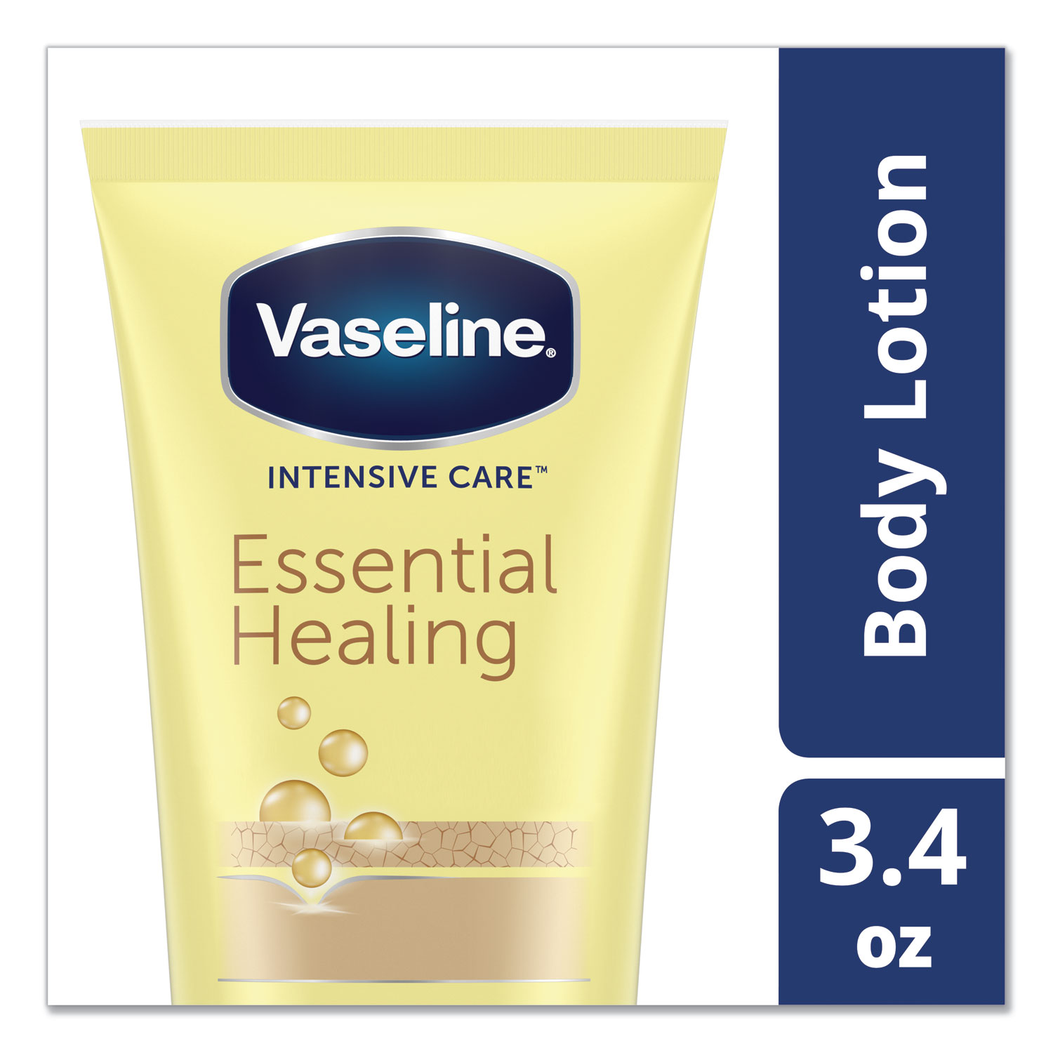クレジェンテPierregina Lotion & Cream 3セット6本 Amazon.com : Jergens Sweet Citrus Body Butter, Hand and Body