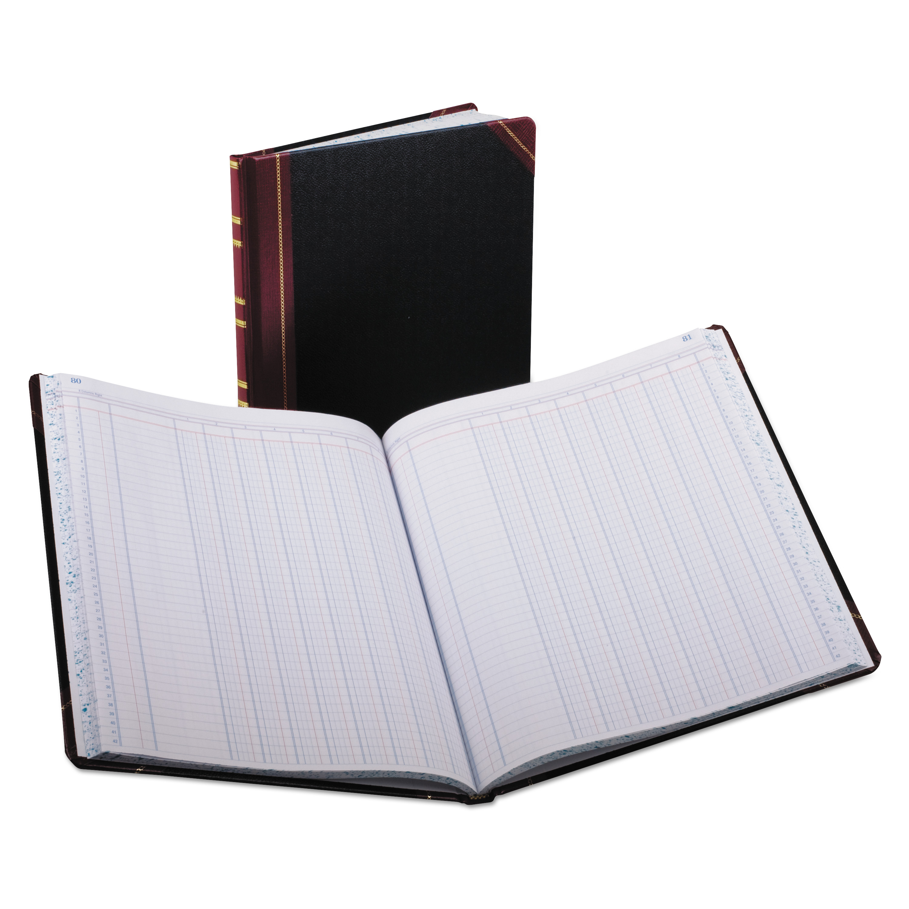 ホメオパシー英語版書籍　Monera vermeulen Amazon.com : Boorum & Pease 66500R Account Book, Record